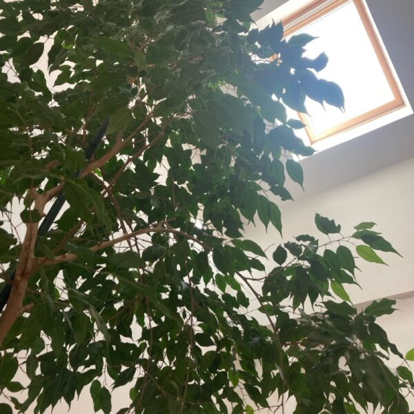 Cabinet3_ArnaudBoudin